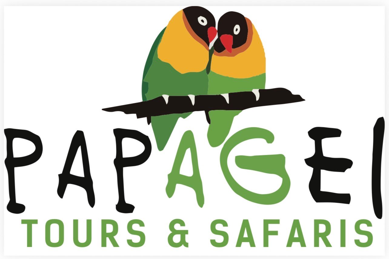 PAPAGEI TOURS AND SAFARIS