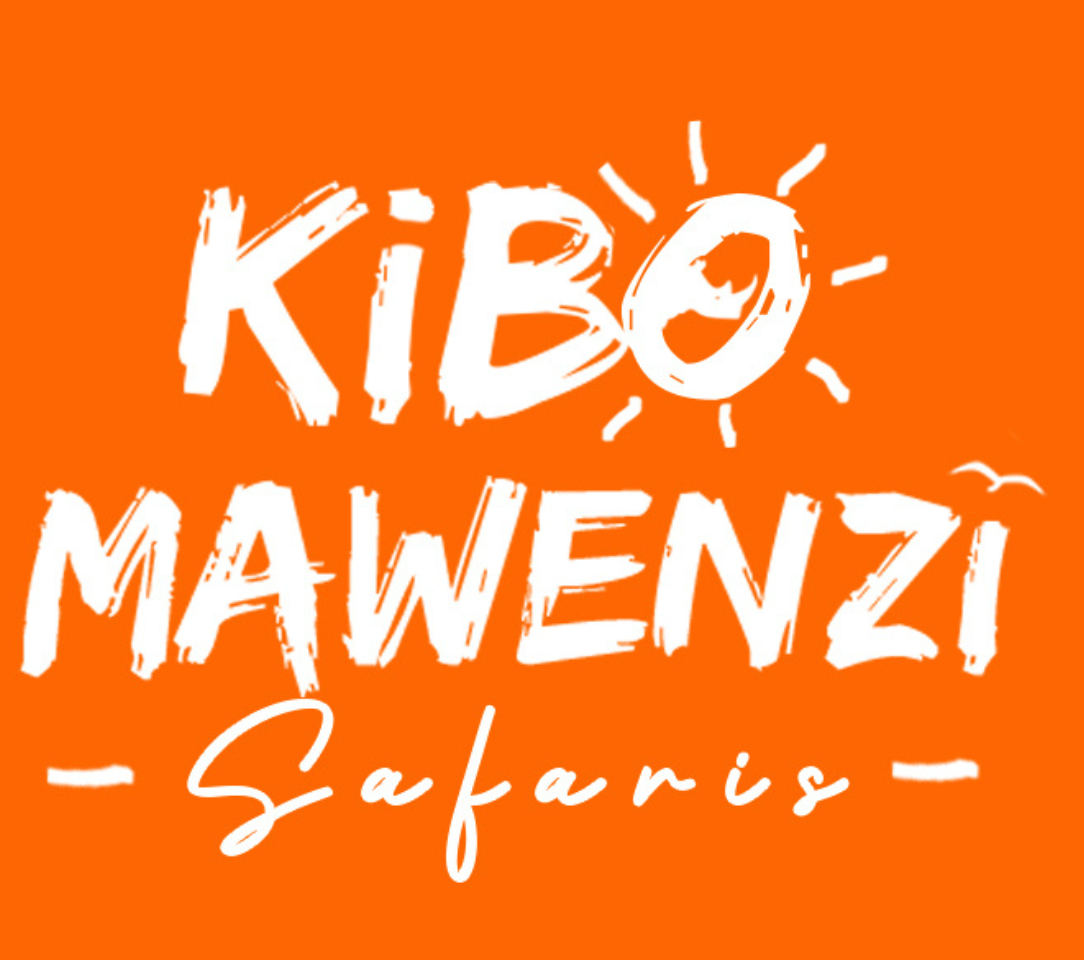Kibo Mawenzi Safaris